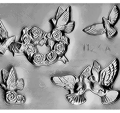 COD: 1123-A