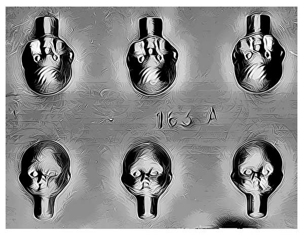 COD: 163-A