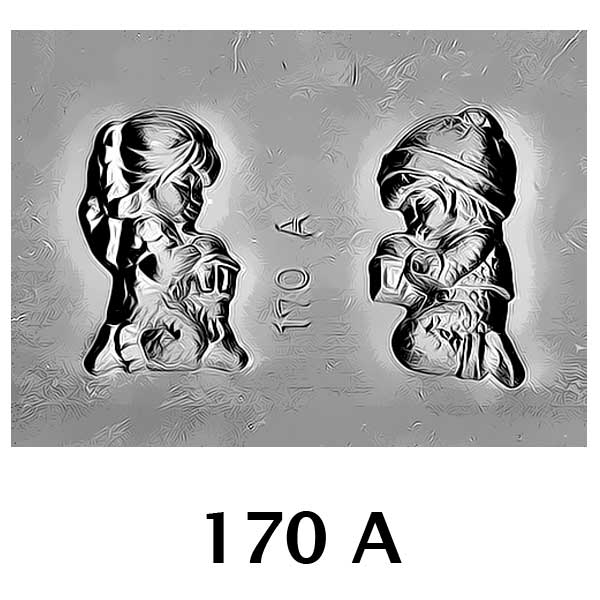 COD: 170-A