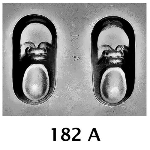 COD: 182-A
