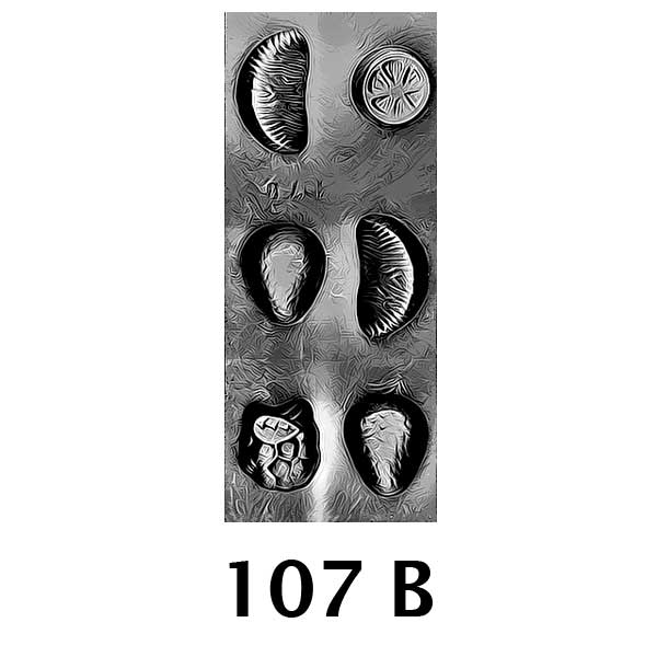COD: 107-B