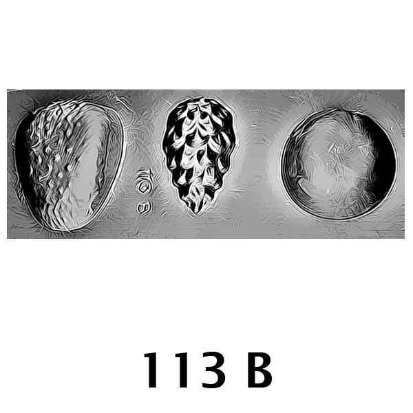 COD: 113-B