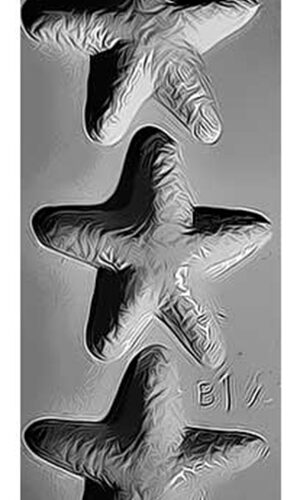 COD: 138-B