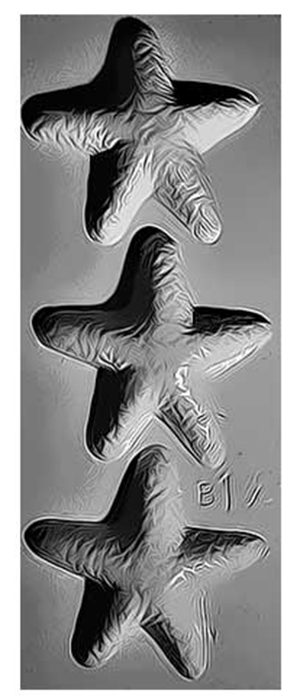 COD: 138-B