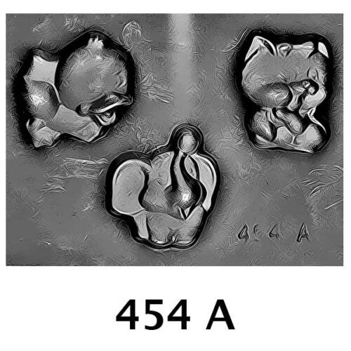 COD: 454-A