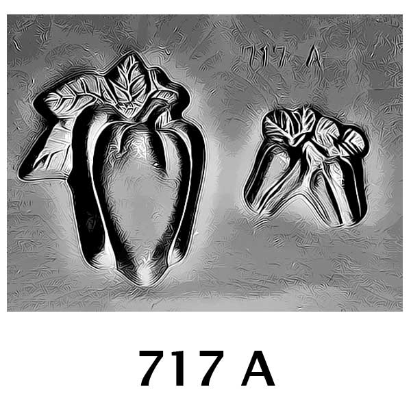 COD: 717-A